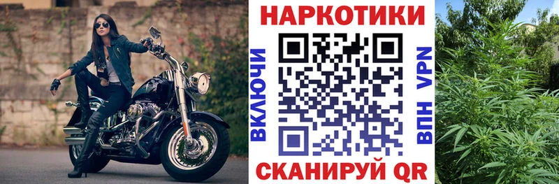Где можно купить наркотики Нововоронеж ГАШИШ  Псилоцибиновые грибы  COCAIN  МЕФ  Конопля 