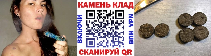 ГАШ гарик Нововоронеж