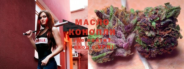 индика Майский