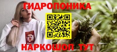 СК Кулебаки