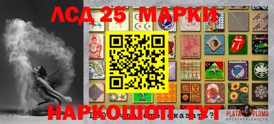 индика Гусиноозёрск