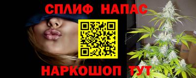 индика Гусиноозёрск