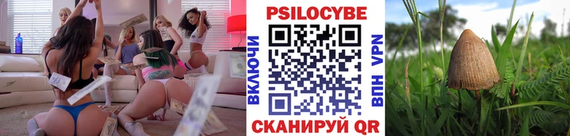 купить Нововоронеж Псилоцибиновые грибы прущие грибы