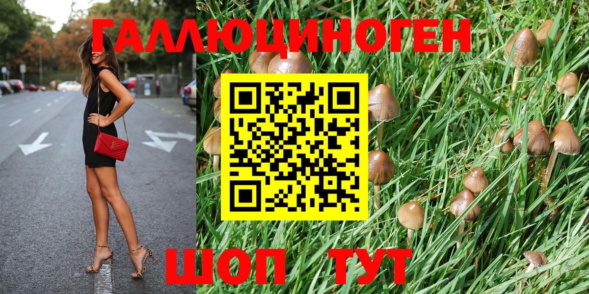 Псилоцибиновые грибы мицелий  Нововоронеж  Псилоцибиновые грибы Magic Shrooms 