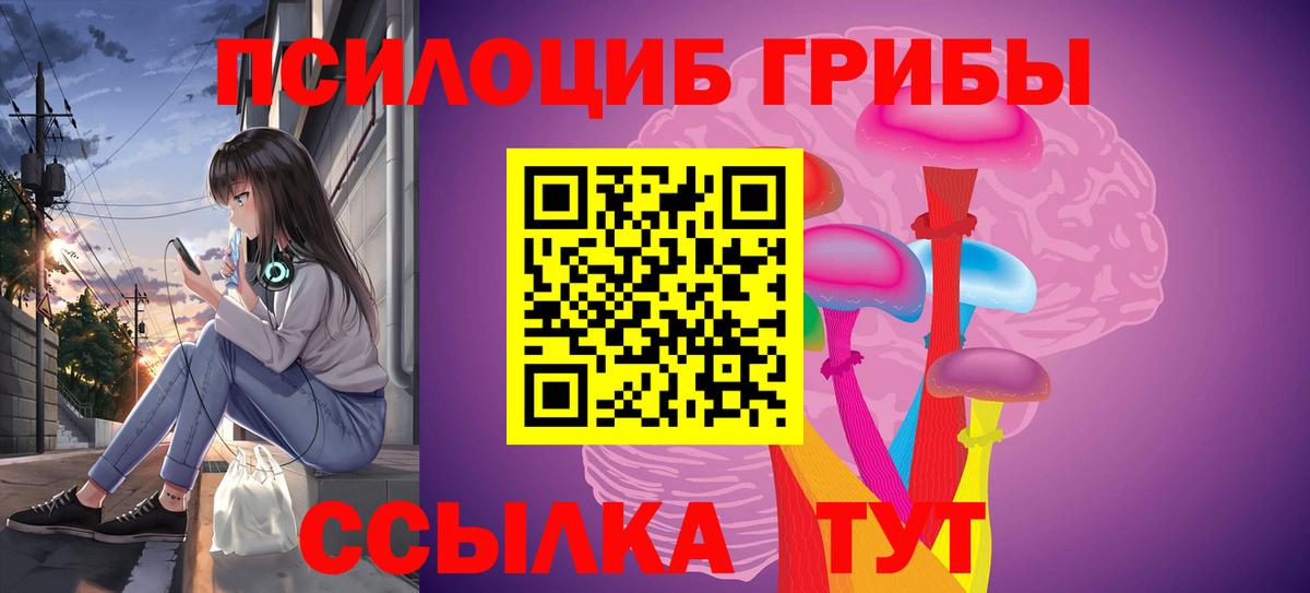 Галлюциногенные грибы ЛСД  Вход с VPN  Галлюциногенные грибы Psilocybe  Нововоронеж 