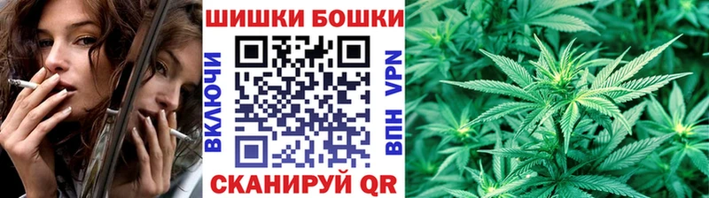купить закладку  Нововоронеж  Бошки Шишки AK-47 
